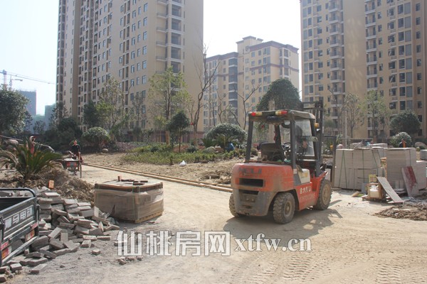 二组团的绿化景观建设