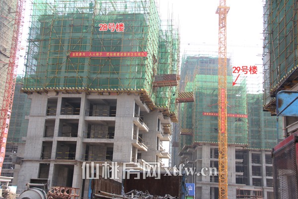 28#楼栋主体建到8层，29#建到9层