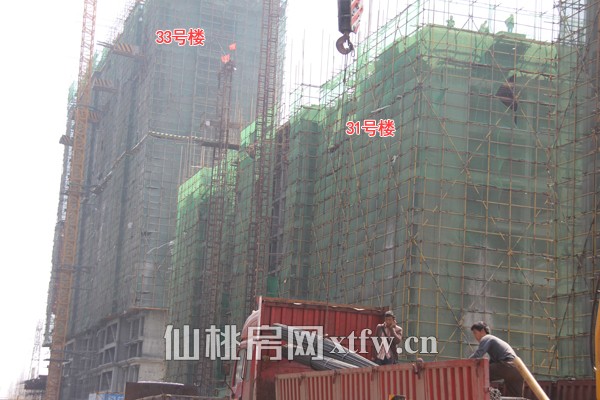 31#楼栋主体建到9层，33#建到17层