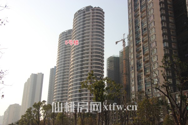 福星城三月工程进度：5号楼双子座预计八月底交房