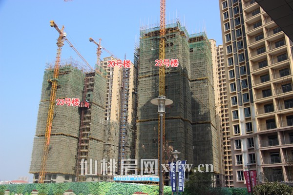 项目目前正在建的楼栋