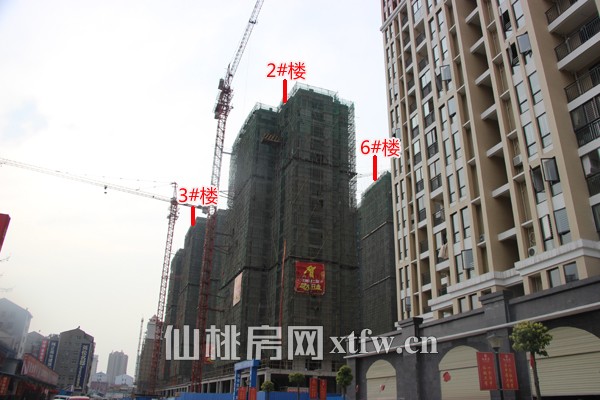 红树湾二期喜封金顶 商铺现正销售中