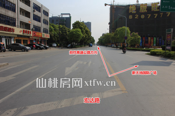 ​小编站在宏达路与黄金大道交汇十字路口中间拍的照片