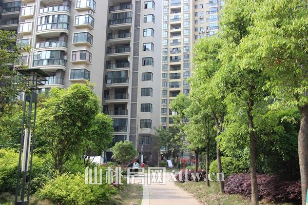 小区的林荫小道