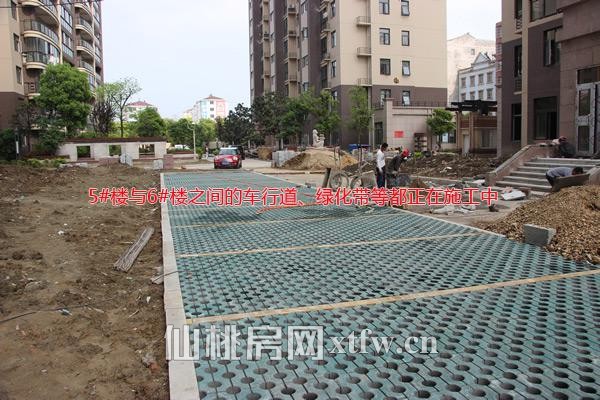 5#楼与6#楼之间的车行道、绿化带等正在施工中
