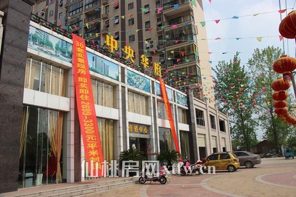 中央华府4月工程进度 三期5#6#楼绿化进行中