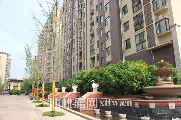 小区入户门口的绿树正在发芽