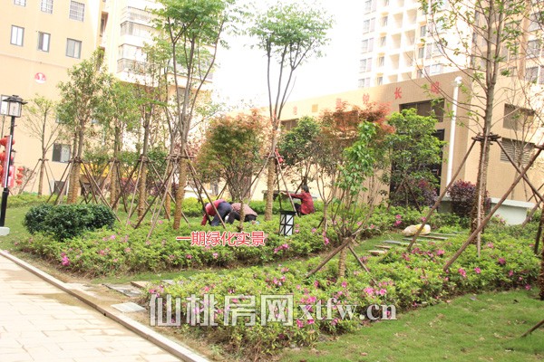 忆美·翰林公馆4月工程进度 二期绿化即将完工