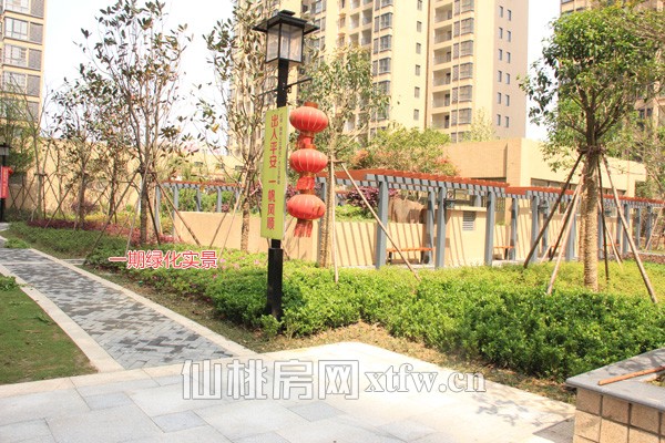 一期绿化实景