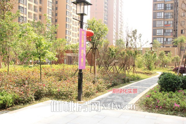 一期绿化实景