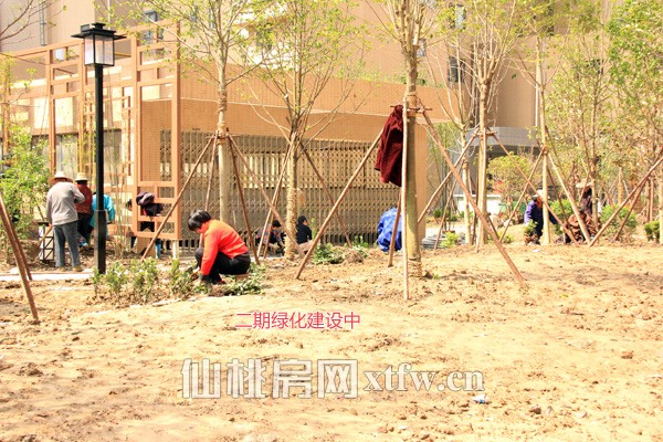 正在建设的二期绿化