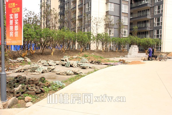 绿化和道路也在建设和铺设当中