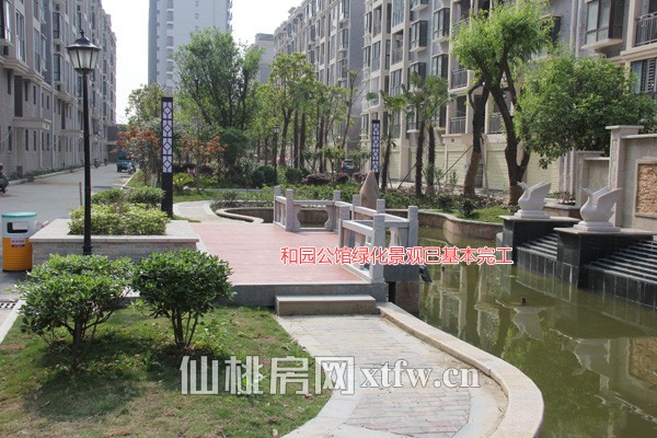 和园公馆绿化景观已基本完工