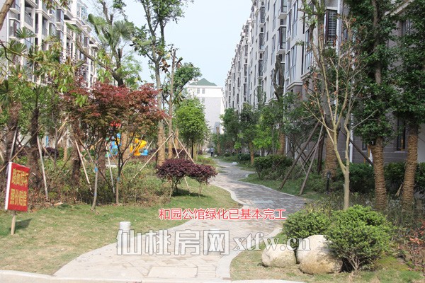 星城国际4月工程进度 城市丽景呈现现房模样