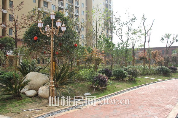 项目二组团项目实景