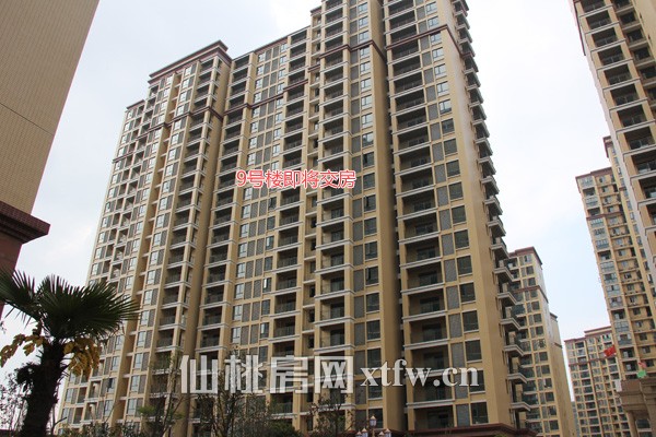 9号楼预计六月底交房