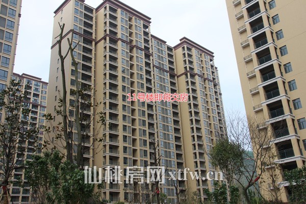 11号楼预计六月底交房