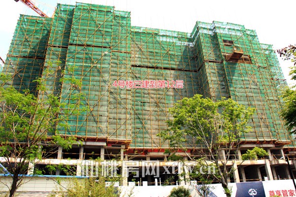 新冠·漫城林语4月工程进度 二期楼栋年底封顶