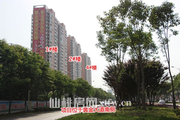 紫金城4月工程进度 9#楼已封顶正在做内墙隔断