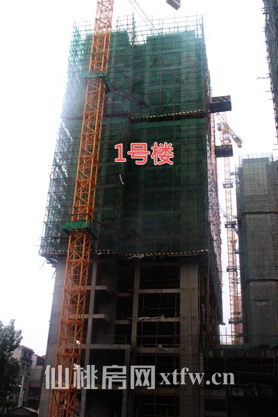 1号楼