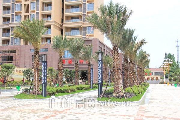 　　紫菘·紫润尚城售楼部前的景观带