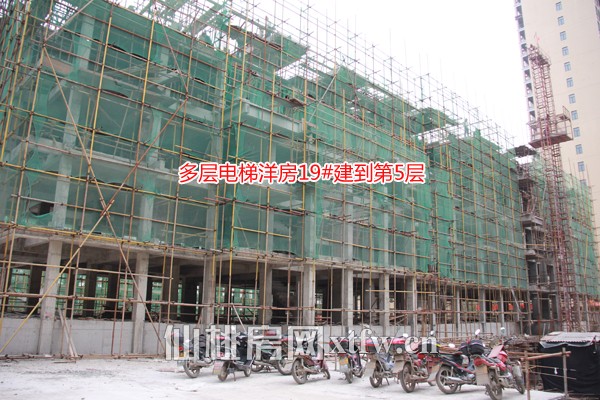 19#建到5层