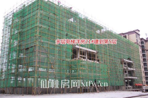 21#建到5层
