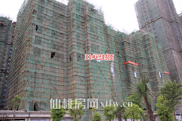 31#已封顶