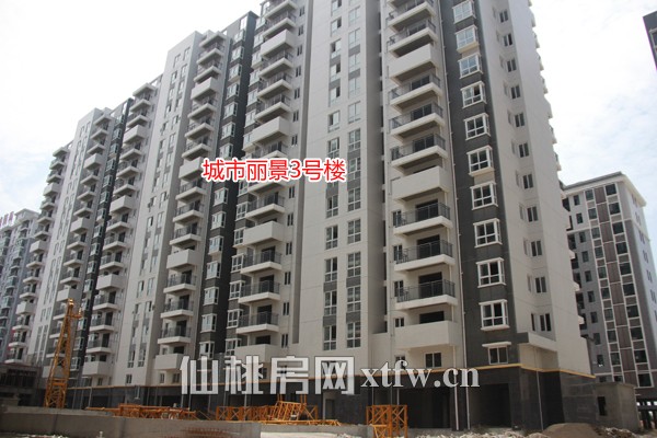 星城国际5月工程进度 道路绿化正在施工中