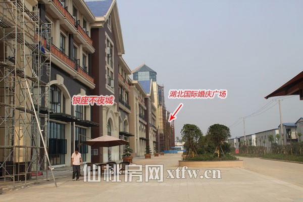 银座不夜城和湖北国际婚庆广场侧面