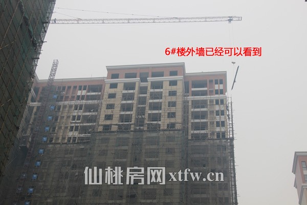 6#楼外部防护网开始拆除