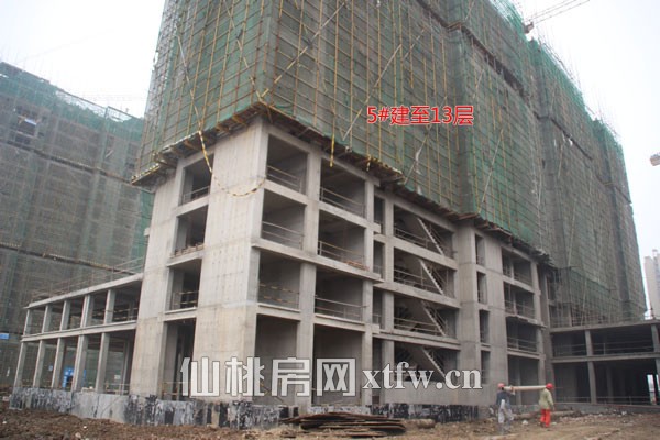 5#建至13层