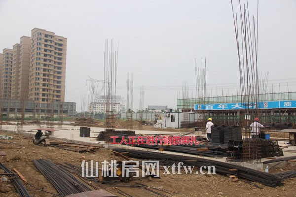 B1区东侧工人正在进行钢筋绑扎