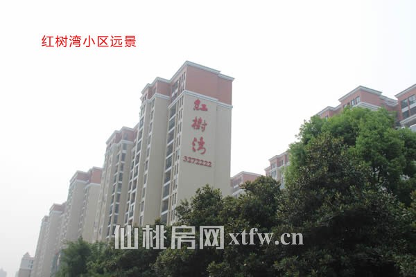 红树湾7月工程进度 门窗已入户开始安装护栏