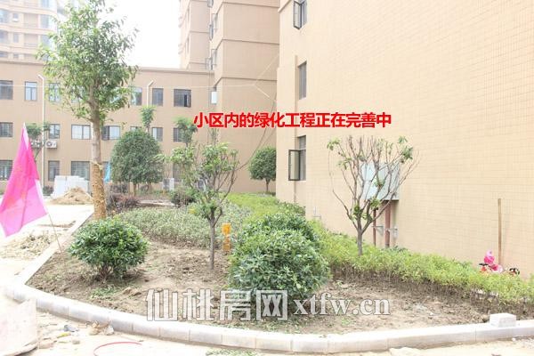 小区内的绿化工程正在完善中