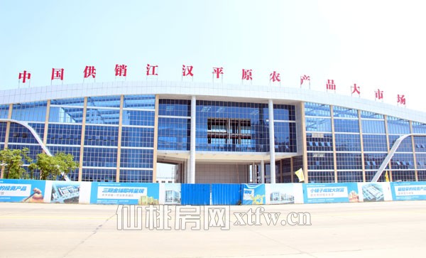 江汉平原农产品大市场7月最新工程进度