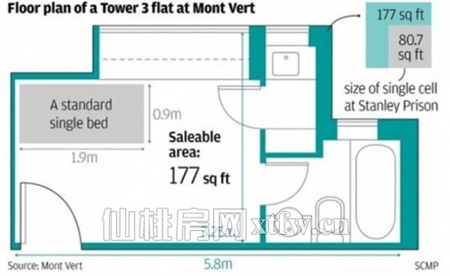 此“蚊型”屋应了“单一代”的意