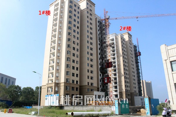 上林仙苑9月工程进度 一期工程外墙粉刷即将完工