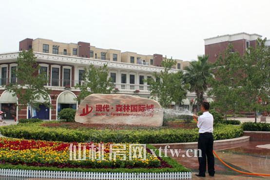 现代·森林国际城9月工程进度 小区绿化正在施工中