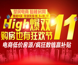 嗨爆双11 购房狂欢节 疯狂数钱赢补贴