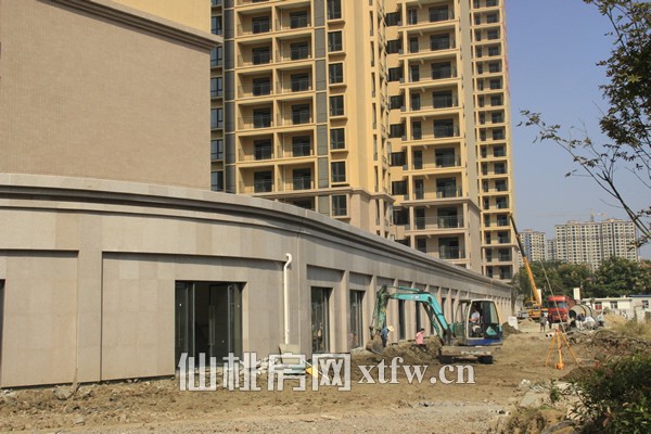 现代·森林国际城10月工程进度 绿化预计12月完工