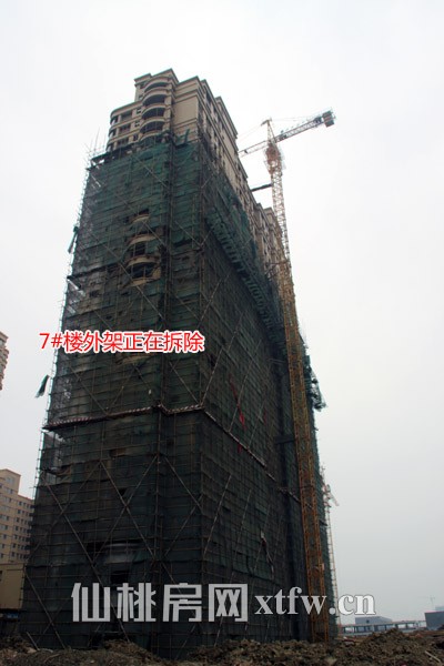 御台公馆11月工程进度 7#楼外架已经开始拆除