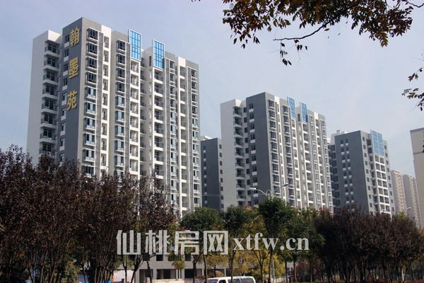 翰墨苑11月工程进度 小区内进行地面防水施工