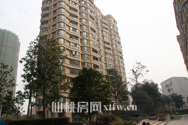 公园世家11月工程进度 三期工程已经开始动工