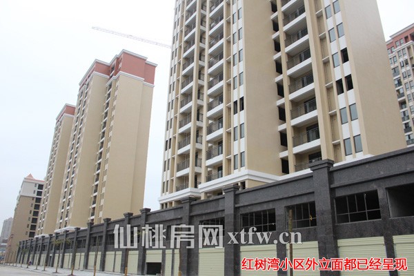 红树湾11月工程进度 地下车库工程建设近半