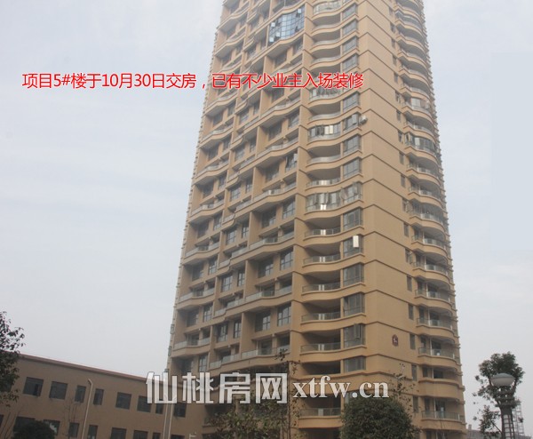 颐和公馆1月工程进度 6#楼已建至第19层