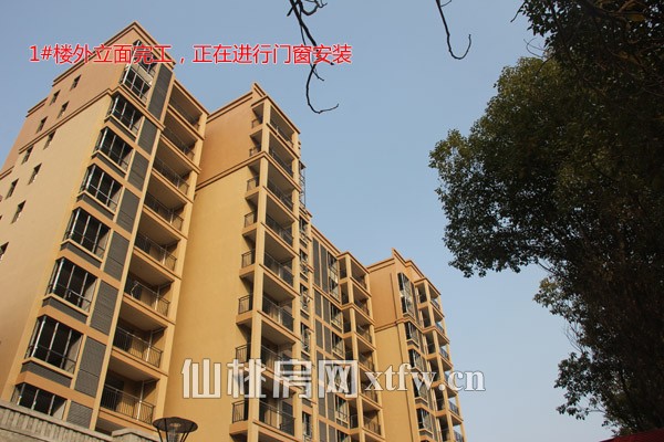 时代天骄1月工程进度 9#楼正在进行外立面施工