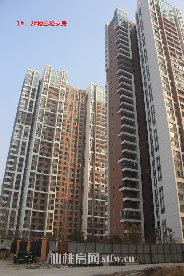 鸿昇现代城1月工程进度 3#楼正在进行分户隔墙