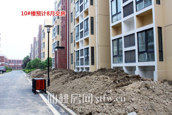 森林国际城4月工程进度