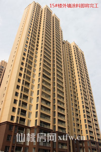15#楼外墙涂料即将完工